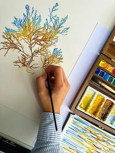 RHS Botanical Art and Photography