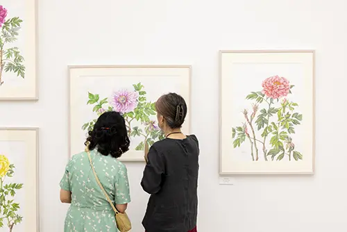 RHS Botanical Art and Photography