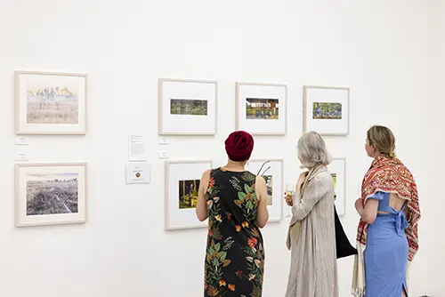 RHS Botanical Art and Photography
