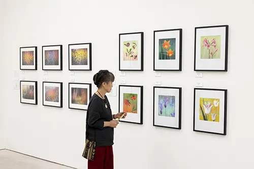 RHS Botanical Art and Photography