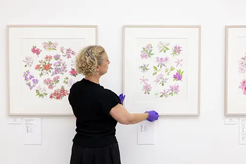 RHS Botanical Art and Photography