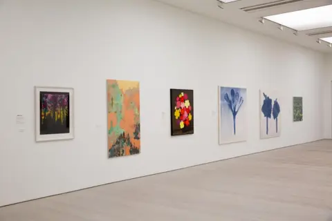 Saatchi Gallery