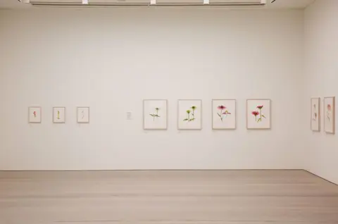 Saatchi Gallery