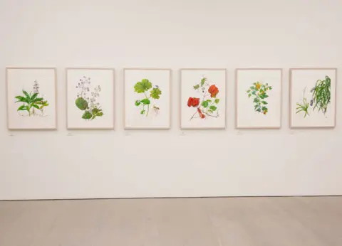 Saatchi Gallery