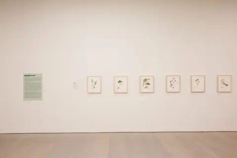 Saatchi Gallery
