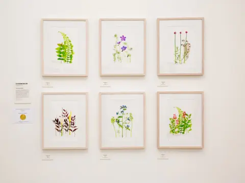 Saatchi Gallery