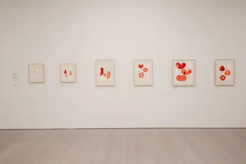 Saatchi Gallery