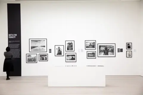 Saatchi Gallery