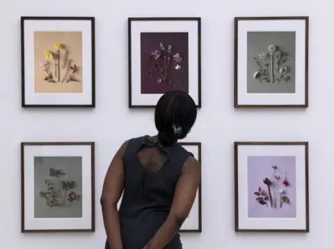 Saatchi Gallery