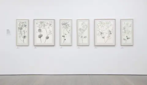 Saatchi Gallery