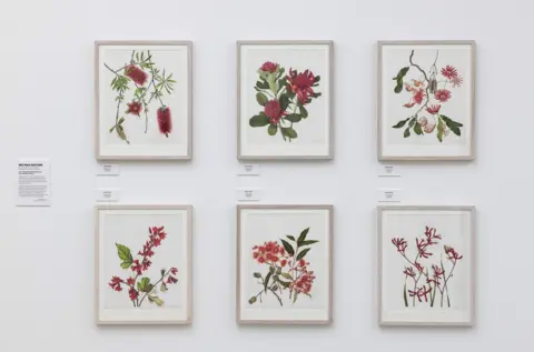 Saatchi Gallery