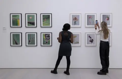 Saatchi Gallery