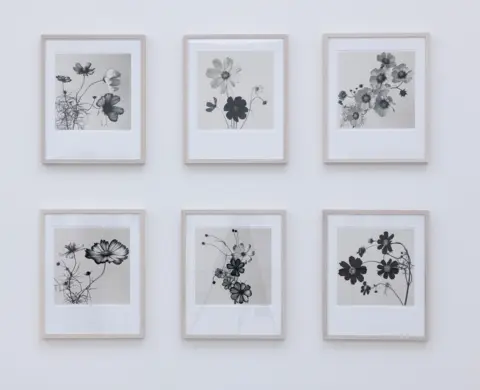 Saatchi Gallery