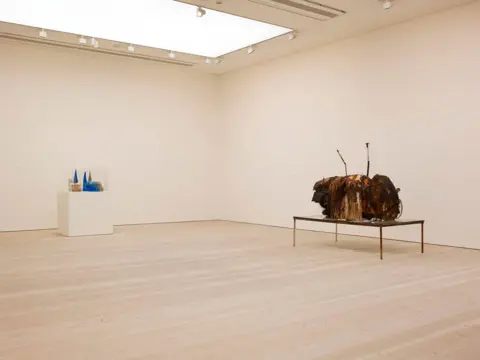 Saatchi Gallery