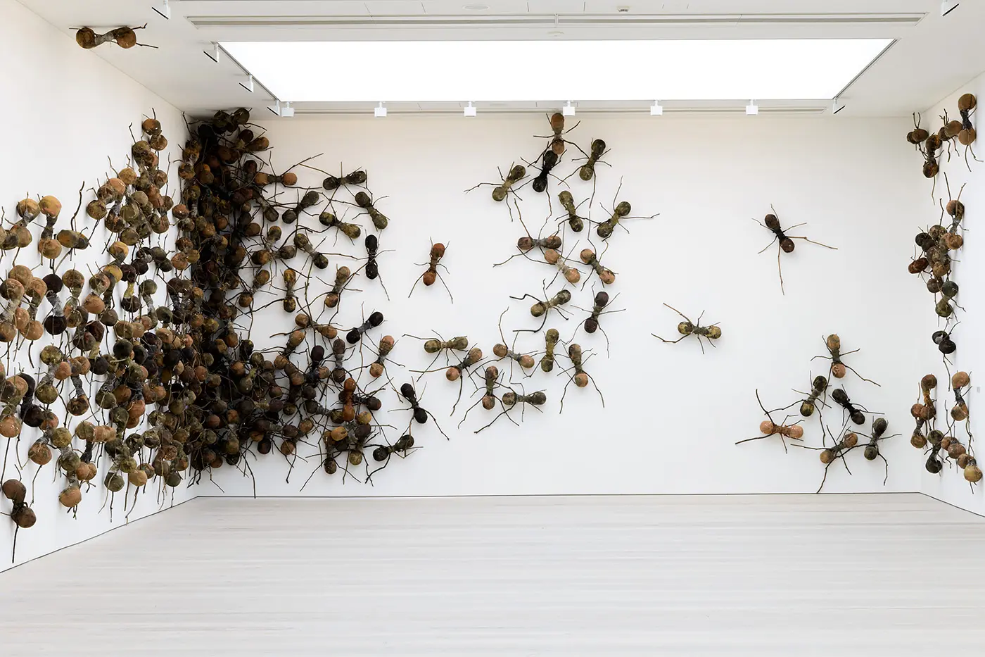 Image of Rafael Gomezbarros, Casa Tomada. Installation view at Saatchi Gallery, 2014