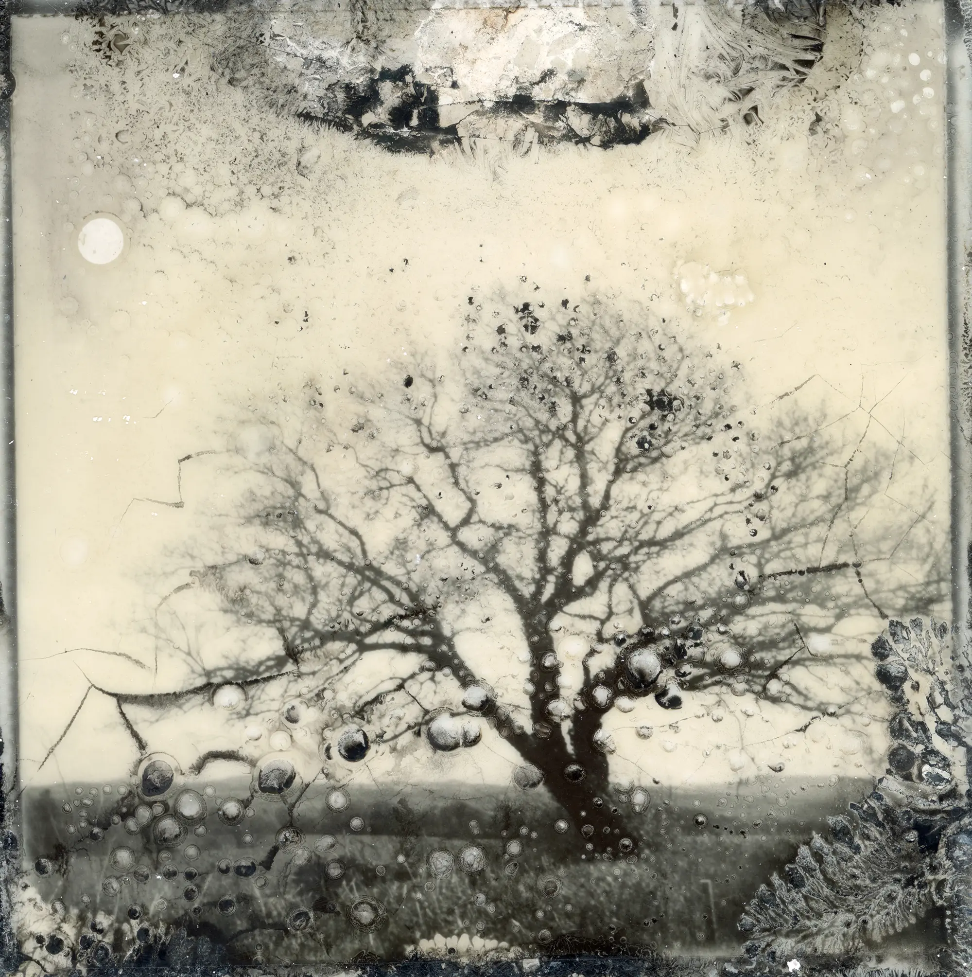 RPS International Photography Exhibition 167