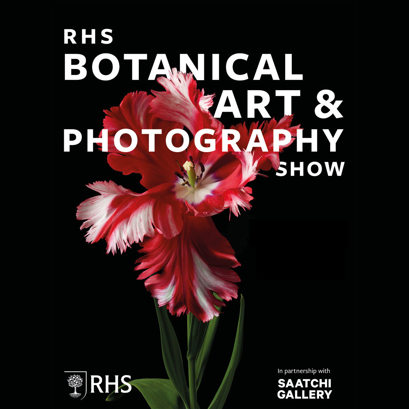 RHS Botanical Art
