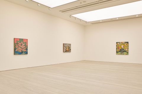 Saatchi Gallery