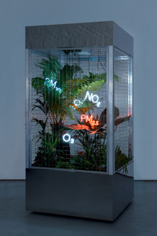 Saatchi Gallery