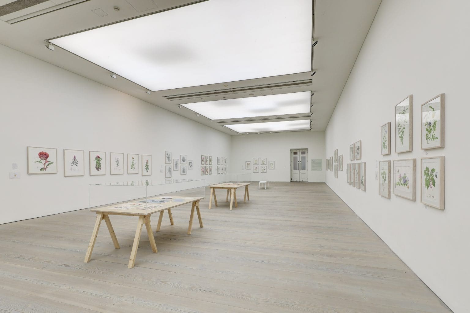 Installation Views » Saatchi Gallery