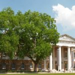 The Saatchi Gallery building